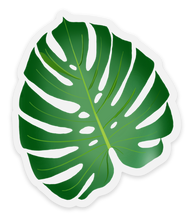 Load image into Gallery viewer, Monstera Sticker