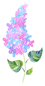 Lilac Magnet