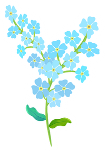Forget Me Not Magnet