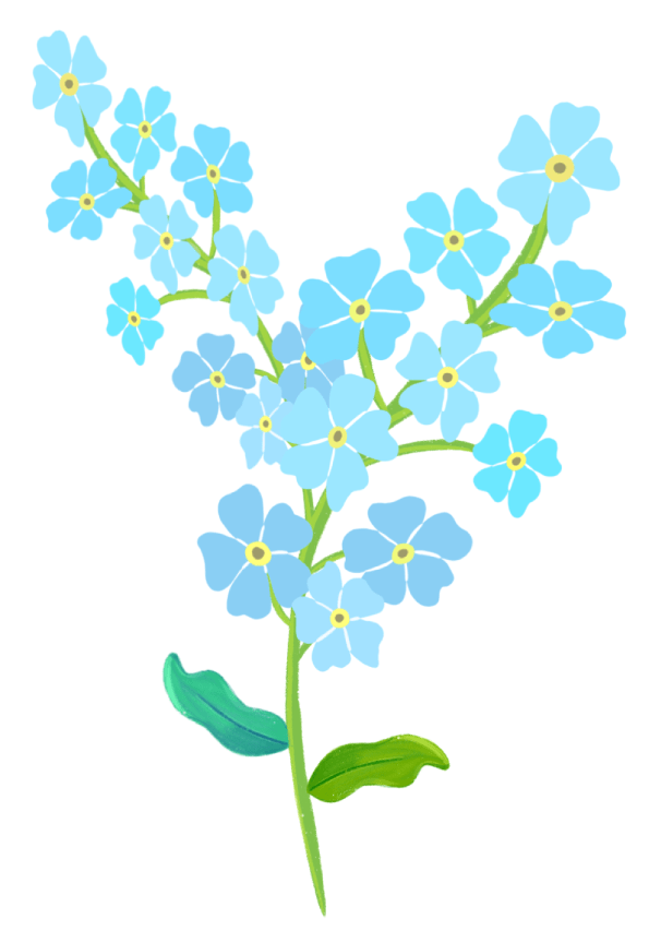 Forget Me Not Magnet