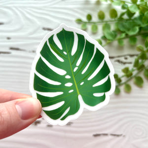 Monstera Sticker