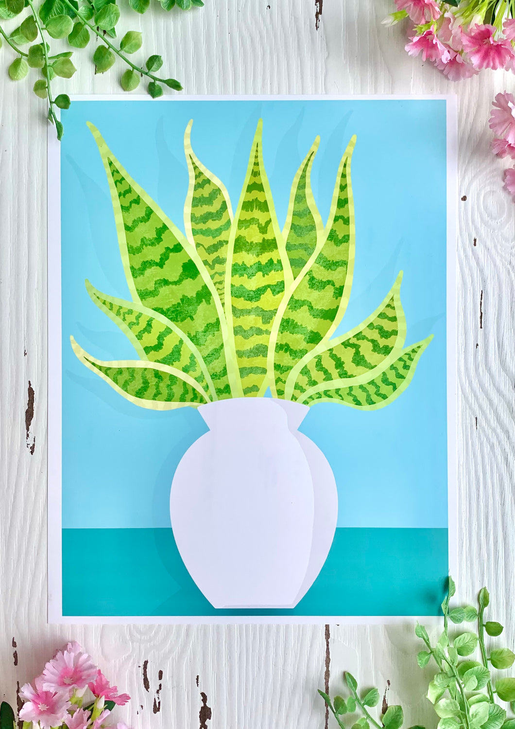 Snake Plant